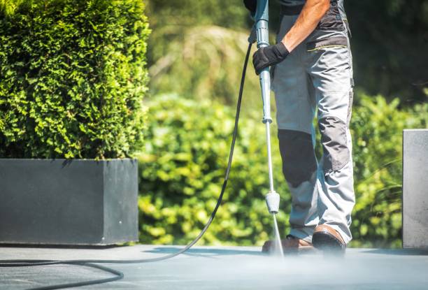 Best Driveway Pressure Washing  in Ladson, SC