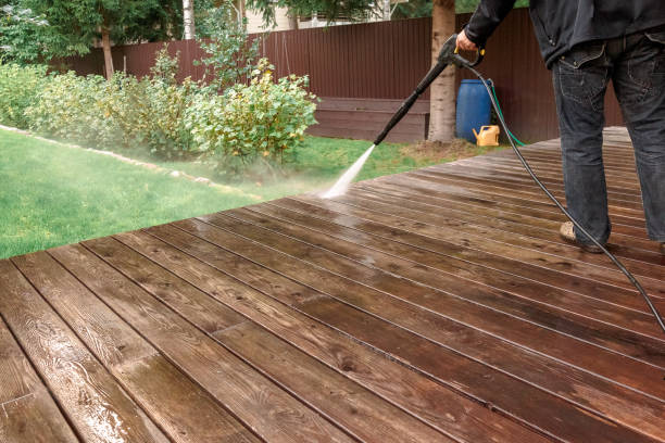 Best Sidewalk and Walkway Cleaning  in Ladson, SC